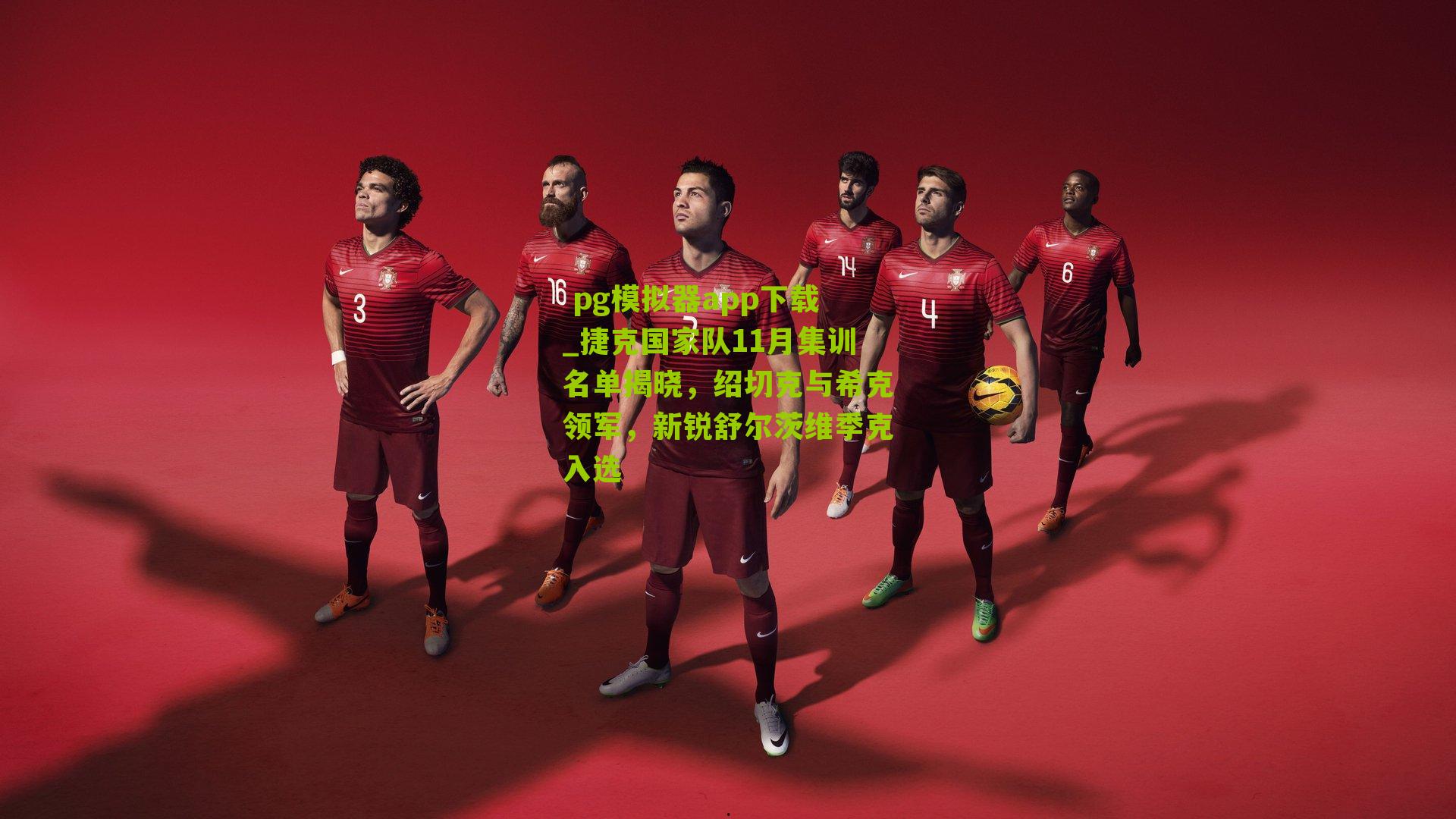 捷克国家队11月集训名单揭晓，绍切克与希克领军，新锐舒尔茨维季克入选